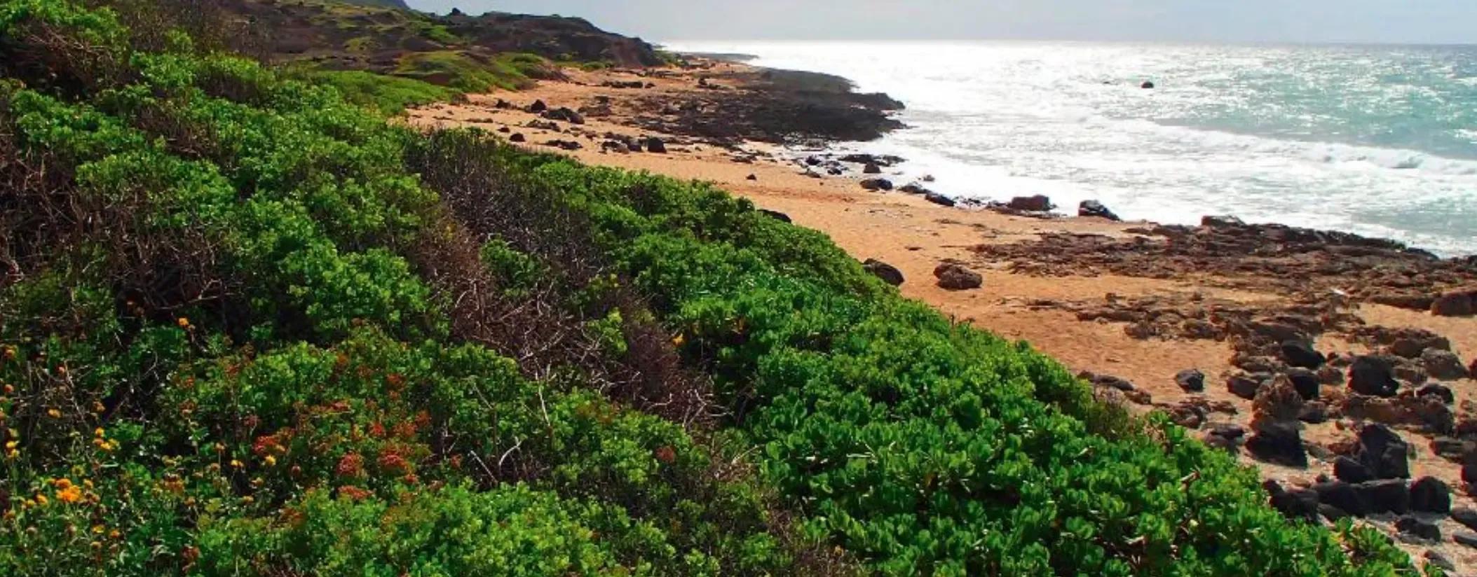 Mokuleia