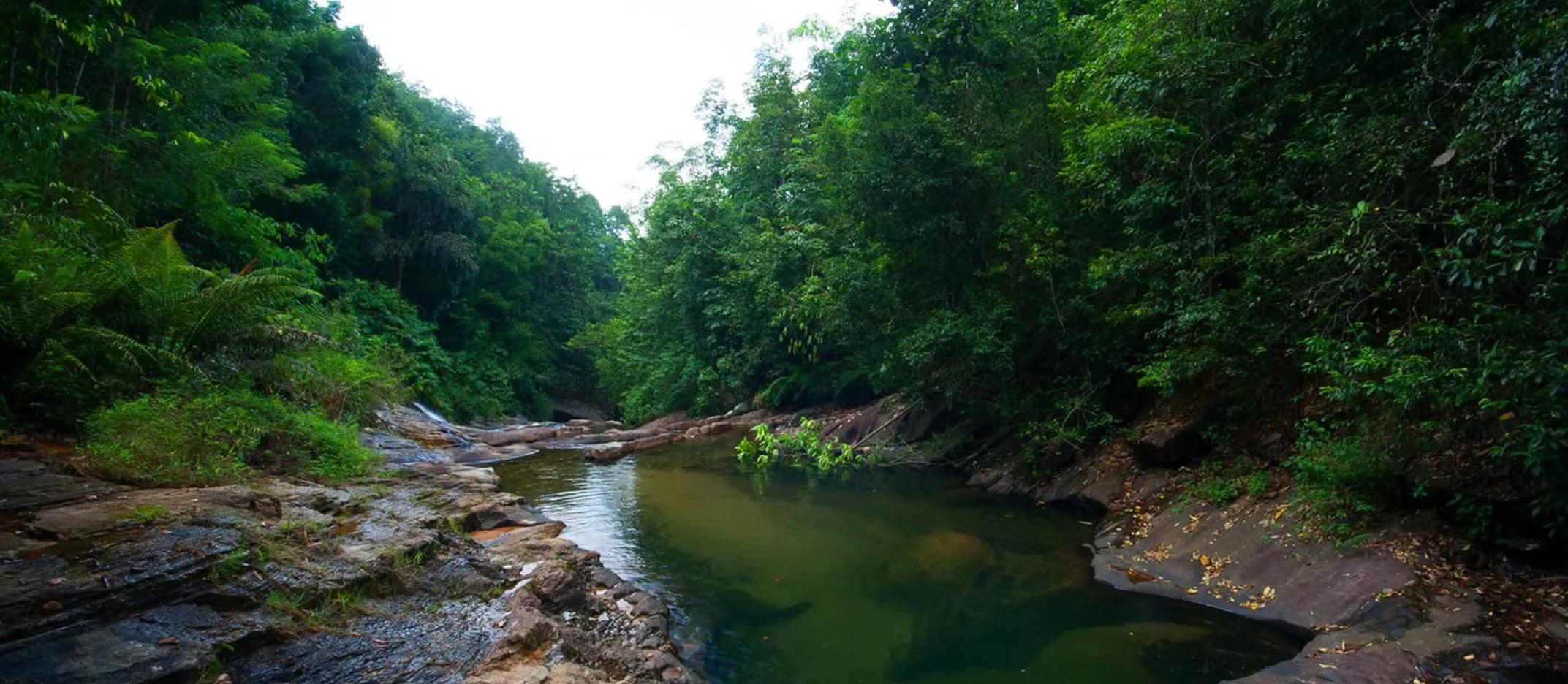 Kitulgala