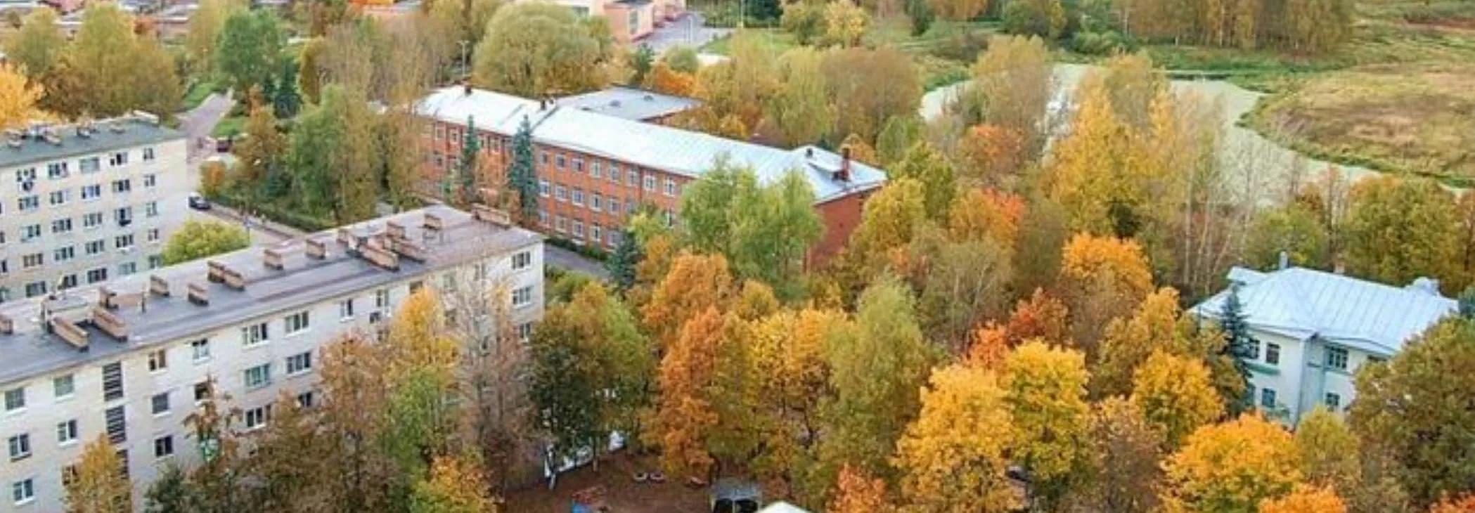 Менделеево