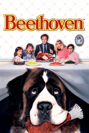 Постер к "Beethoven: O Magnífico"