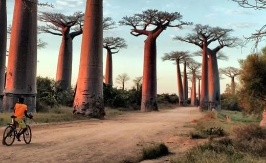 Madagascar