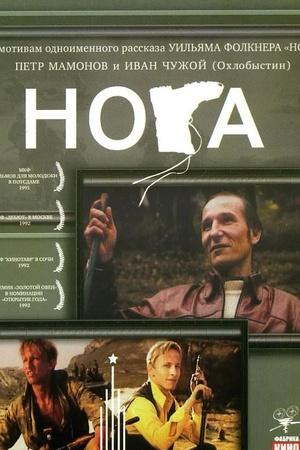 Noga
