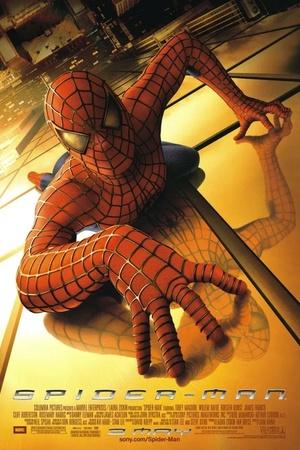Постер к "Spider-Man"