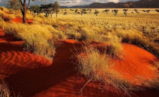Namibia