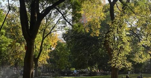 Tompkins Square Park