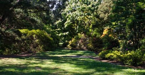 Harcourt Park