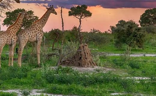 Botswana