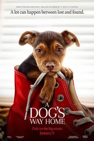 Постер к "A Dog's Way Home"