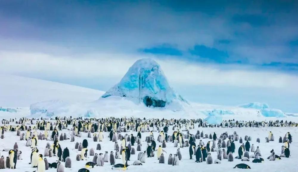 The Beauty of Movies Filmed in Antarctica
