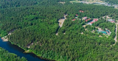 Барсова гора