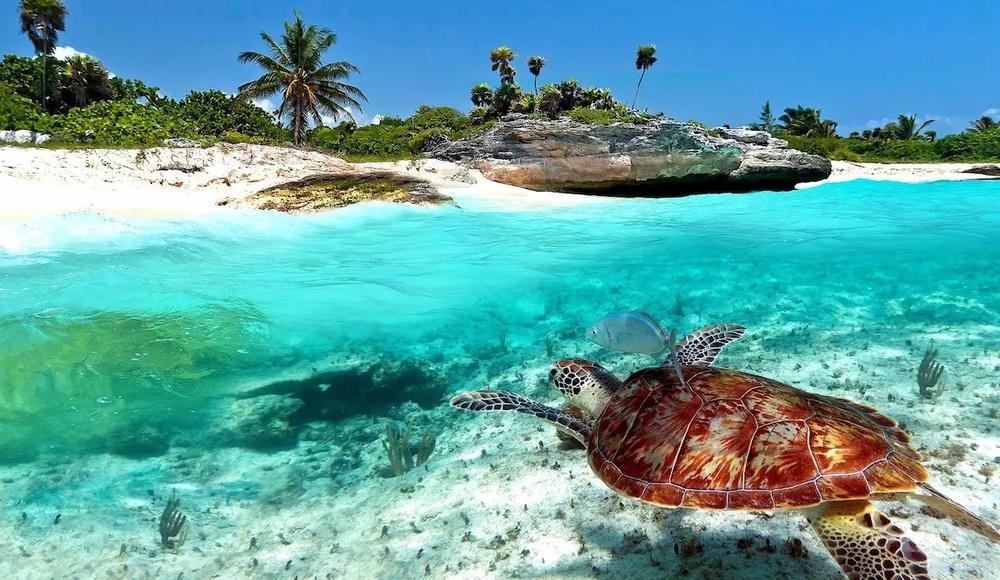 Movies Filmed on the Best Beach in the World