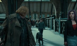 Movie image from Platform 9¾