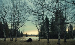 Movie image from The Woods (CL Western Town & Backlot)