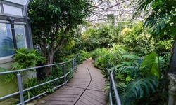 Real image from Allan Gardens