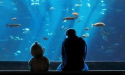 Movie image from New England Aquarium