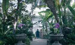 Movie image from Allan Gardens