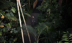 Movie image from Bloedel Conservatory  (Queen Elizabeth Park)