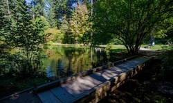 Real image from Burnaby Central Park