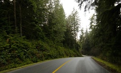 Real image from Tum Tumay Whueton Drive  (Belcarra Regional Park)