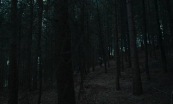 Movie image from Lakeside Woods