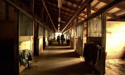 Movie image from North Shore Equestrian Center
