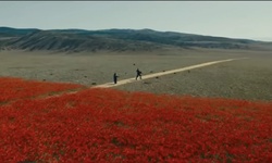 Movie image from Poppy field