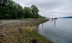 Real image from Barnet Marine Park