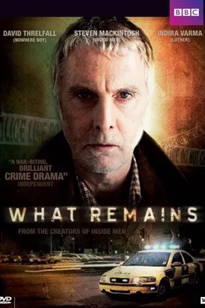 Poster What Remains 2013