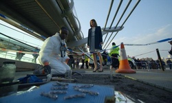 Movie image from Millennium Bridge