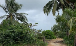 Real image from Cosón Beach and river