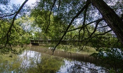 Real image from Marie Curtis Park