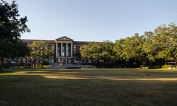Real image from Newcomb Quad  (Tulane University)