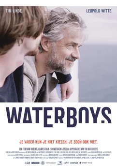 Poster Waterboys 2016