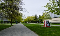 Real image from Main Mall (entre Biological Sciences et Stores) (UBC)