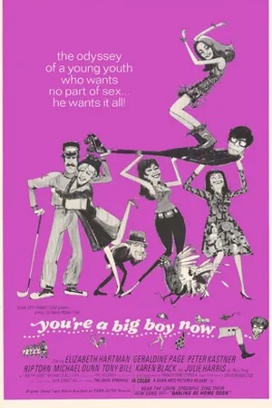 Poster You're a Big Boy Now 1966