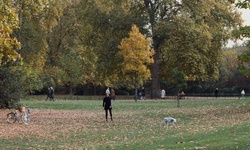 Movie image from St. James's Park