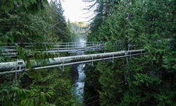 Real image from Lynn Canyon Park