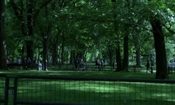 Movie image from The Mall  (Central Park)