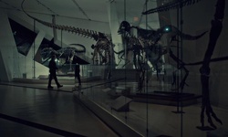 Movie image from Royal Ontario Museum