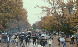 Movie image from Health Sciences Center (exterior)