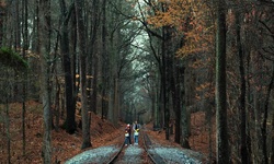 Movie image from Stone Mountain Park