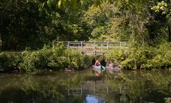 Real image from Princeton University