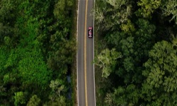 Movie image from Driving through Woods