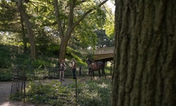 Movie image from Pine Bank Arch Bridge  (Central Park)