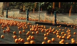 Movie image from An orange grape in the city