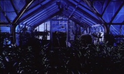 Movie image from Estate