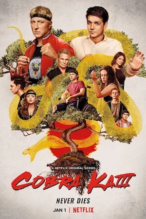 Poster Cobra Kai 2018