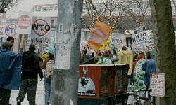 Movie image from Turtle Protestor