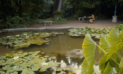 Movie image from Trsteno Arboretum