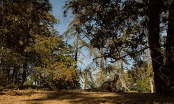 Movie image from Cedar Grove  (Griffith Park)